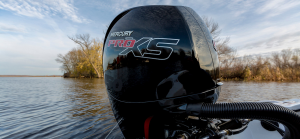 Mercuryproxs